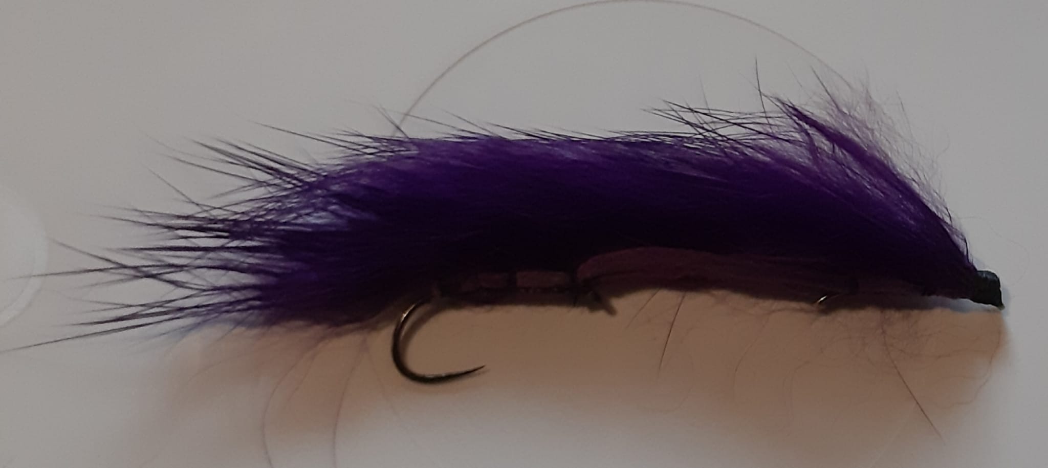 Snake fly martin blommaert
